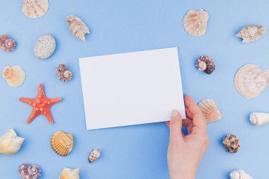 Yaratıcı düz yaz seyahat tatil kavramı yatıyordu. Deniz kabuklarını ve denizyıldızı en iyi görünümünü kartpostal pastel mavi zemin üzerine kadar alay ve alanı en az tarzı, metin için şablon kopyalama