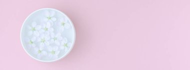 Yaratıcı düz kavramı üstten görünüm aroma kase su ile lay ve en az bir tarzda, uzun geniş afiş üzerinde pastel pembe Kağıt arka plan kopya alanı ile çiçek açması elma ağacı çiçek bahar beyaz