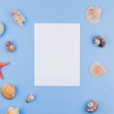 Yaratıcı kare düz yaz seyahat tatil kavramı yatıyordu. Deniz kabuklarını ve denizyıldızı en iyi görünümünü kartpostal pastel mavi zemin üzerine kadar alay ve alanı en az tarzı, metin için şablon kopyalama