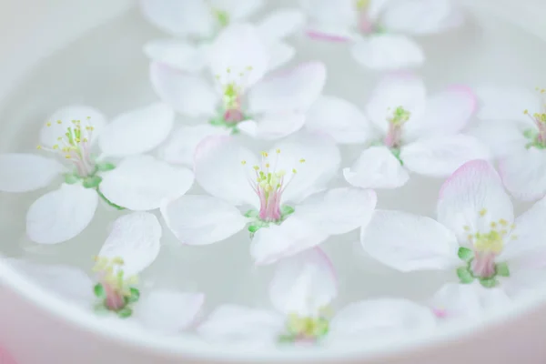 Close White Spring Blossoming Apple Tree Flowers Floating Aroma Bowl — Stock Photo, Image