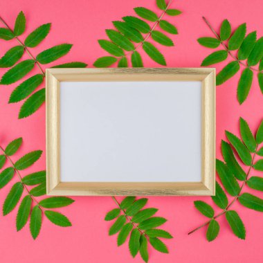 Üstten görünüm kopya alanı en az çift ton pop sanat tarzı, metin için şablon parlak pembe kare zemin üzerine altın çerçeve taze yeşil rowan ağacı ile alay etmek yukarıya yaprak yaratıcı düz yatıyordu