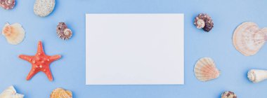 Yaratıcı uzun geniş afiş düz yatıyordu yaz seyahat tatil kavramı. Kartpostal kadar sahte ve kopya alanı en az tarzı, pastel mavi zemin üzerine deniz kabuklarını ve denizyıldızı üstten görünüm şablonu