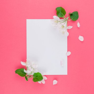 Boş Kartpostal çerçeve sahte kavramı en iyi görünümünü kare düz yığmak ve elma ağacı yaprakları üzerinde pastel pembe arka plan kopya alanı en az stili, yazı, metin veya tasarım şablonu ile çiçekler