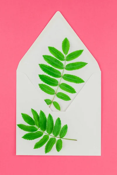 创意平面放置顶部视图白色字母模拟与新鲜的绿色罗恩树叶在明亮的粉红色背景与复制空间在最小的双色调流行艺术风格 模板文本 — 图库照片
