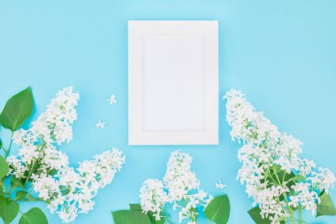 Boş Kartpostal çerçeve sahte kavramı en iyi görünümünü yaratıcı düz yığmak ve yaprakları kopya alanı en az stili, yazı, metin veya tasarım şablonu pastel mavi zemin üzerine beyaz leylak çiçekler