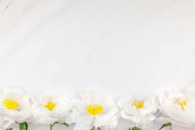 Güzel kopya alanı en az tarzı, kartpostal, yazı, metin veya tasarım şablonu mermer zemin üzerine beyaz şakayık çiçekleri blooming. Düğün davetiyesi ve kutlama tebrik kavramı