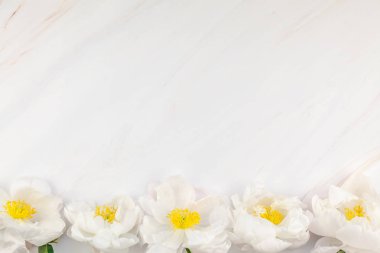 Güzel kopya alanı en az tarzı, kartpostal, yazı, metin veya tasarım şablonu mermer zemin üzerine beyaz şakayık çiçekleri blooming. Düğün davetiyesi ve kutlama tebrik kavramı