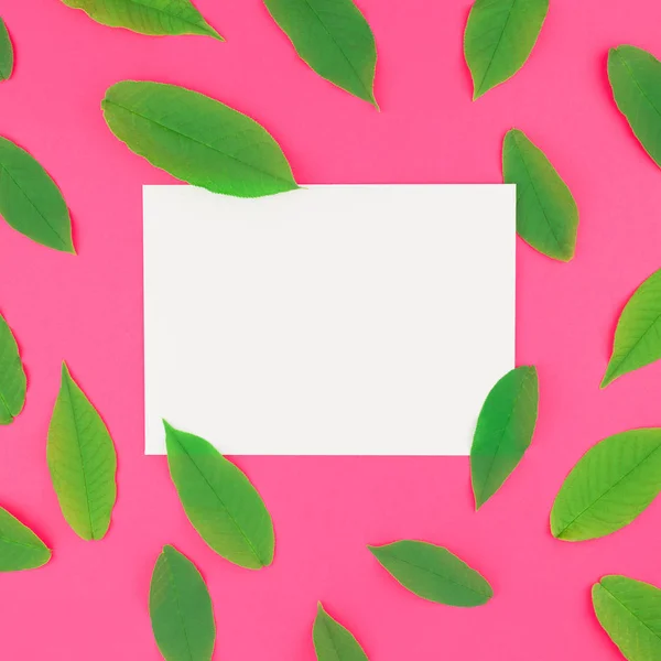 Creative flat lay top view pattern with fresh green leaves on bright pink square background with postcard mock up and copy space in minimal pop art style, template for text