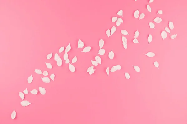 創造的なフラットはミニマル スタイル テキストのテンプレート コピー スペースとパステル ピンク背景にアップル ツリーの花びらが飛んでの概念平面図を置く — ストック写真