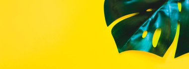 Tropikal orman palm monstera parlak sarı Kağıt arka plan üzerinde bırakır. Yaz yaratıcı düz metin için kavram şablon yatıyordu. Uzun geniş afiş pop sanat