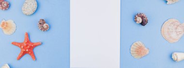 Yaratıcı uzun geniş afiş düz yatıyordu yaz seyahat tatil kavramı. Kartpostal kadar sahte ve kopya alanı en az tarzı, pastel mavi zemin üzerine deniz kabuklarını ve denizyıldızı üstten görünüm şablonu