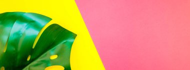 Tropikal orman palm monstera parlak sarı ve pembe çift ton kağıt arka plan üzerinde bırakır. Yaz yaratıcı düz metin için kavram şablon yatıyordu. Uzun geniş afiş