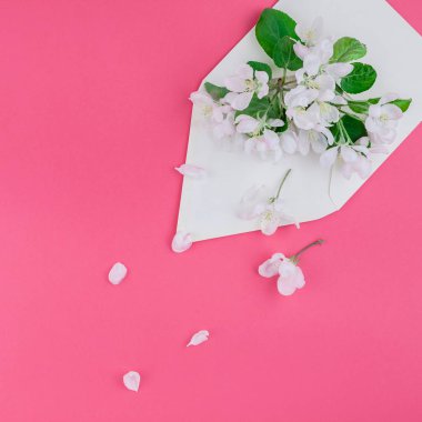 Kare düz kavramı üstten görünüm boş mektup zarfının yatıyordu ve elma ağacı çiçek ile bin yıllık pembe arka plan üzerinde alanı kopyalayın en az tarzı, kutlama, davet, Sevgililer kartları için şablon