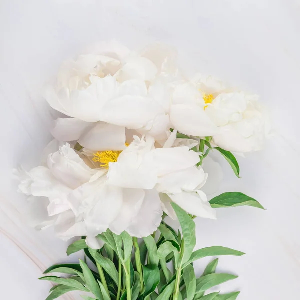 Vackra Blommande Vit Pion Blommor Marmor Bakgrund Med Kopiera Utrymme — Stockfoto