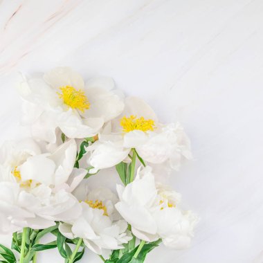 Güzel çiçek beyaz şakayık çiçekleri mermer zemin üzerine alan en az tarzı, kartpostal, metin veya tasarımınızı kare şablon kopyalayın. Düğün davetiyesi ve kutlama tebrik kavramı