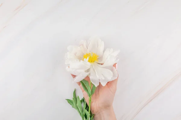 Hermosas Flores Peonía Blanca Flor Sobre Fondo Mármol Con Espacio — Foto de Stock