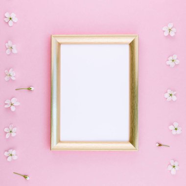 Pastel pembe arka plan boş çerçeve alay yukarı ve kiraz ağacı çiçekleri