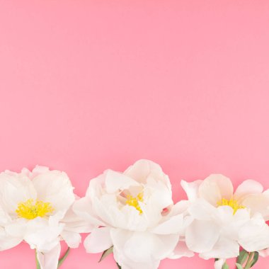 Kağıt arka plan çiçek beyaz şakayık çiçekleri meydanında pink