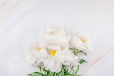 Güzel kopya alanı en az tarzı, kartpostal, yazı, metin veya tasarım şablonu mermer zemin üzerine beyaz şakayık çiçekleri blooming. Düğün davetiyesi ve kutlama tebrik kavramı