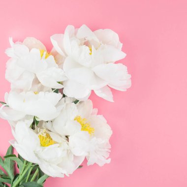 Çiçek beyaz şakayık kare renk Kağıt arka plan kopya alanı en az tarzı, kartpostal, yazı, metin için şablon ile tasarımınızı çiçekler. Düğün davetiyesi ve kutlama tebrik kavramı