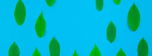 新鮮な緑と創造的なフラット レイアウト平面図パターンは 最小限のポップアートのスタイル テキストのテンプレートにコピー スペースを明るい青色の背景に残します 長い広いバナー — ストック写真