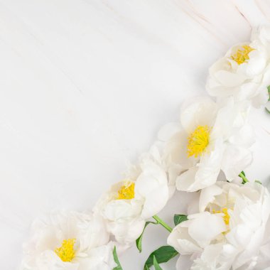 Güzel çiçek beyaz şakayık çiçekleri mermer zemin üzerine alan en az tarzı, kartpostal, metin veya tasarımınızı kare şablon kopyalayın. Düğün davetiyesi ve kutlama tebrik kavramı