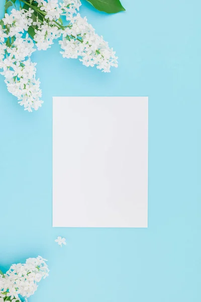 Creative flat lay concept top view of blank postcard frame mock up and white lilac flowers petals on pastel blue background with copy space in minimal style, template for lettering, text or design