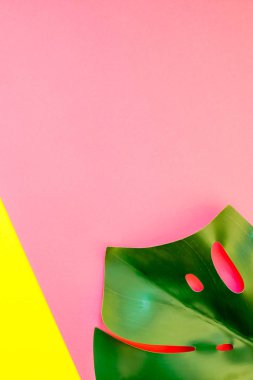 Tropikal orman palm monstera parlak sarı ve pembe Kağıt arka plan üzerinde bırakır. Yazın yaratıcı pop sanat düz yatıyordu kavramı şablon metin için