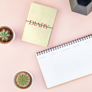 En iyi görünüm düz yatıyordu çalışma alanı Resepsiyon ofis malzemeleri kaktüsler succulents kopya alanı bin yıllık pembe renkli kağıt arka plan en az tarzı ile tasarım tarz. Kadınsı blog sosyal medya için kare şablon