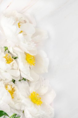 Güzel kopya alanı en az tarzı, kartpostal, yazı, metin veya tasarım şablonu mermer zemin üzerine beyaz şakayık çiçekleri blooming. Düğün davetiyesi ve kutlama tebrik kavramı