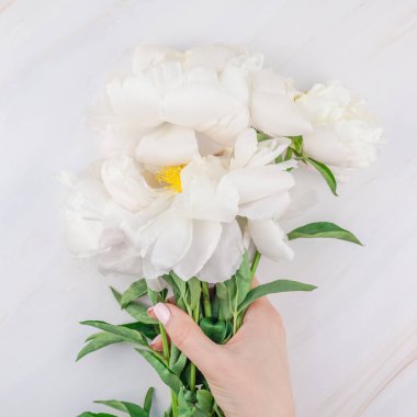 Güzel çiçek beyaz şakayık çiçekleri mermer zemin üzerine alan en az tarzı, kartpostal, metin veya tasarımınızı kare şablon kopyalayın. Düğün davetiyesi ve kutlama tebrik kavramı