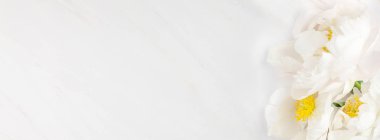 Güzel çiçek beyaz şakayık çiçekleri kopya alanı en az tarzı, şablon tasarımınızın mermer zemin üzerine. Düğün davetiyesi ve kutlama tebrik kavramı. Uzun geniş afiş