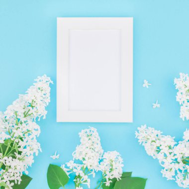 Boş Kartpostal çerçeve sahte kavramı en iyi görünümünü kare düz yığmak ve yaprakları kopya alanı en az stili, yazı, metin veya tasarım şablonu pastel mavi zemin üzerine beyaz leylak çiçekler