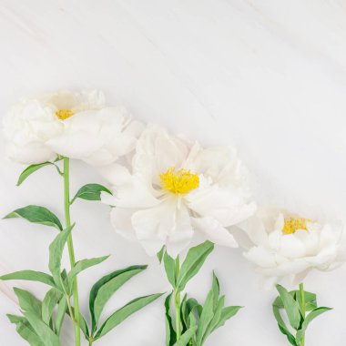 Güzel çiçek beyaz şakayık çiçekleri mermer zemin üzerine alan en az tarzı, kartpostal, metin veya tasarımınızı kare şablon kopyalayın. Düğün davetiyesi ve kutlama tebrik kavramı