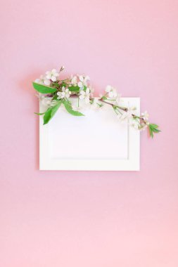 Boş çerçeve sahte kavramı en iyi görünümünü yaratıcı düz yığmak ve bin yıllık pembe arka plan kopya alanı en az stili, yazı, metin veya tasarım şablonu ile üzerinde kiraz ağacı çiçek