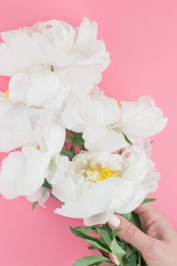 Çiçek beyaz şakayık pastel renk Kağıt arka plan kopya alanı en az tarzı, kartpostal, yazı, metin için şablon ile tasarımınızı çiçekler. Düğün davetiyesi ve kutlama tebrik kavramı