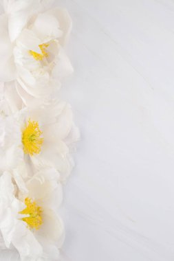 Güzel kopya alanı en az tarzı, kartpostal, yazı, metin veya tasarım şablonu mermer zemin üzerine beyaz şakayık çiçekleri blooming. Düğün davetiyesi ve kutlama tebrik kavramı