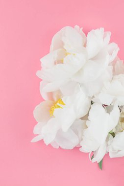 Çiçek beyaz şakayık pastel renk Kağıt arka plan kopya alanı en az tarzı, kartpostal, yazı, metin için şablon ile tasarımınızı çiçekler. Düğün davetiyesi ve kutlama tebrik kavramı