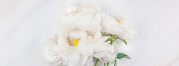 Hermosas Flores Peonía Blanca Flor Sobre Fondo Mármol Con Espacio —  Fotos de Stock