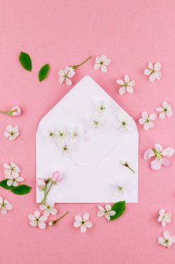 Yaratıcı düz kavramı üstten görünüm boş mektup zarfının lay ve en az tarzı, kutlama, Sevgililer kartları için şablon alan bahar kiraz ağacı çiçekleri ile bin yıllık pembe arka plan üzerinde kopyalama