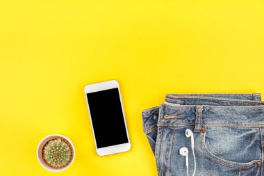 Kot düz yatıyordu, kaktüs ve smartphone kulaklıktan kalın kağıt arka plan kopya alanı ile sarı. Kadın rahat kıyafet havai görünümü. Trendy hipster bak üstten görünüm