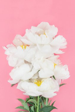 Çiçek beyaz şakayık pastel renk Kağıt arka plan kopya alanı en az tarzı, kartpostal, yazı, metin için şablon ile tasarımınızı çiçekler. Düğün davetiyesi ve kutlama tebrik kavramı