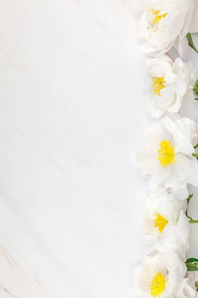 Hermosas Flores Peonía Blanca Flor Sobre Fondo Mármol Con Espacio — Foto de Stock