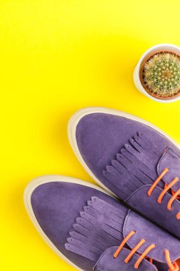 Düz Süet ayakkabı, kaktüs kopya alanı ile kalın sarı Kağıt arka plan üzerinde yatıyordu. Kadın rahat kıyafet havai görünümü. Trendy hipster bak üstten görünüm