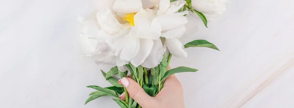 Vackra Blommande Vit Pion Blommor Marmor Bakgrund Med Kopia Utrymme — Stockfoto