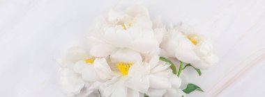 Güzel çiçek beyaz şakayık çiçekleri kopya alanı en az tarzı, şablon tasarımınızın mermer zemin üzerine. Düğün davetiyesi ve kutlama tebrik kavramı. Uzun geniş afiş