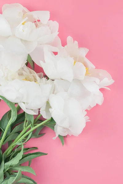 Florecientes Flores Peonía Blanca Sobre Fondo Papel Color Pastel Con — Foto de Stock