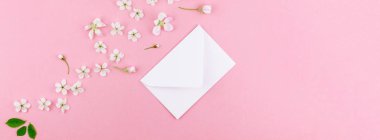 Yaratıcı düz boş mektup zarfının uzun geniş afiş lay ve en az tarzı, kutlama, Sevgililer kartları için şablon alan bahar kiraz ağacı çiçekleri ile bin yıllık pembe arka plan üzerinde kopyalama