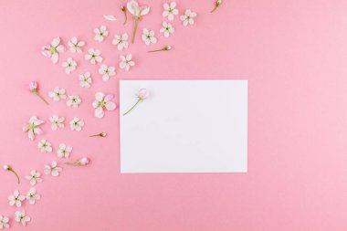 Boş Kartpostal çerçeve sahte kavramı en iyi görünümünü yaratıcı düz yığmak ve kiraz ağacı çiçek pastel bin yıllık üzerinde arka plan kopya alanı en az stili, yazı, metin veya tasarım şablonu ile pembe