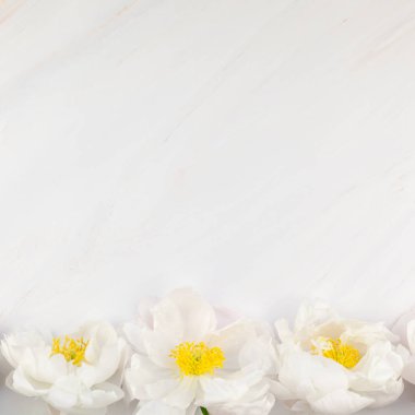 Güzel çiçek beyaz şakayık çiçekleri mermer zemin üzerine alan en az tarzı, kartpostal, metin veya tasarımınızı kare şablon kopyalayın. Düğün davetiyesi ve kutlama tebrik kavramı